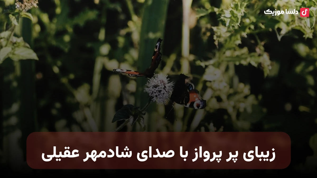 شادمهر عقیلی به نام پر پرواز